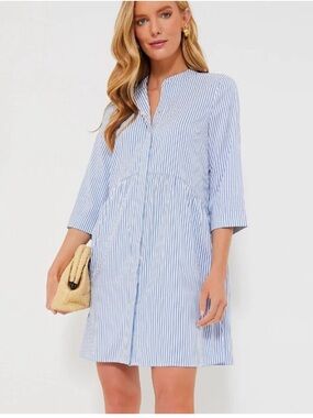 Tuckernuck Blue Stripe Royal Shirt Dress  Size Medium